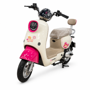 Bicicleta electrica Moped